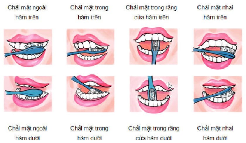 Tham khảo 5 bước chải răng đúng cách