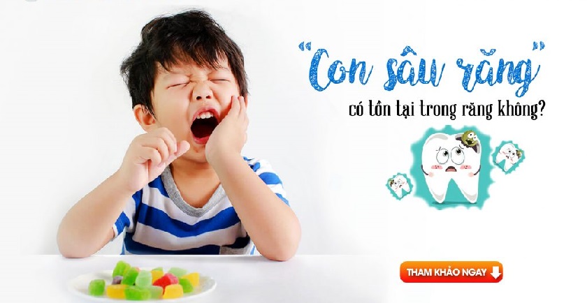 “Con sâu răng” có tồn tại không? Con sâu răng có hình dạng như thế nào