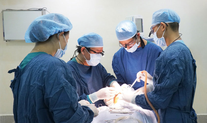 Khách hàng được chăm sóc răng miệng bởi đội ngũ bác sĩ giàu kinh nghiệm.