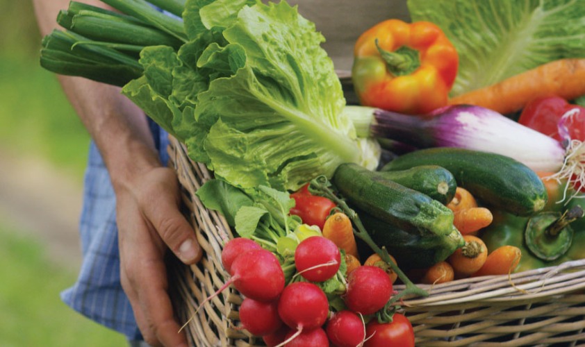 Những người răng yếu nên bổ sung nhiều rau xanh Những người răng yếu nên bổ sung nhiều rau xanh