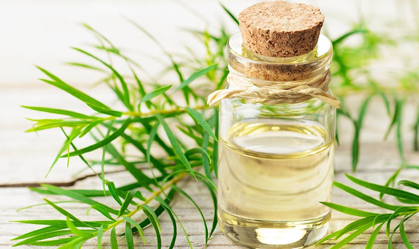 Sử dụng tinh dầu chữa viêm nướu răng