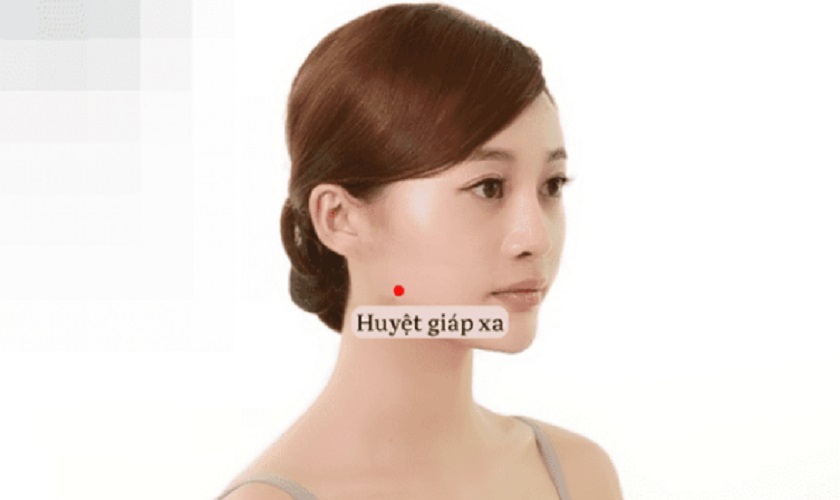 Vị trí huyệt giáp xa