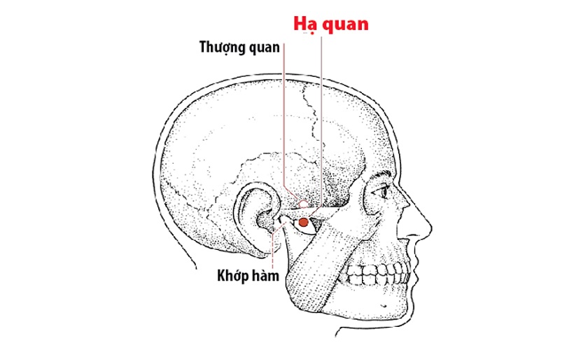 Tác động vào huyệt hạ quan giúp làm giảm triệu chứng đau răng