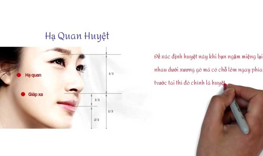 Bấm huyệt hạ quan và huyệt giáp xa giúp giảm đau răng