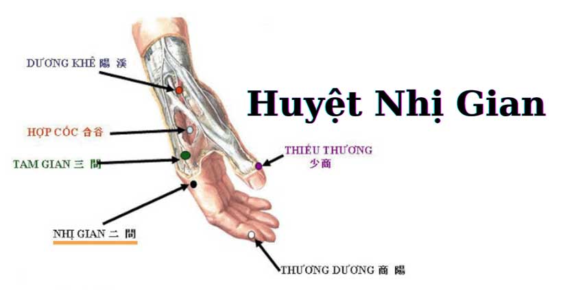 Huyệt nhị gian chữa đau răng