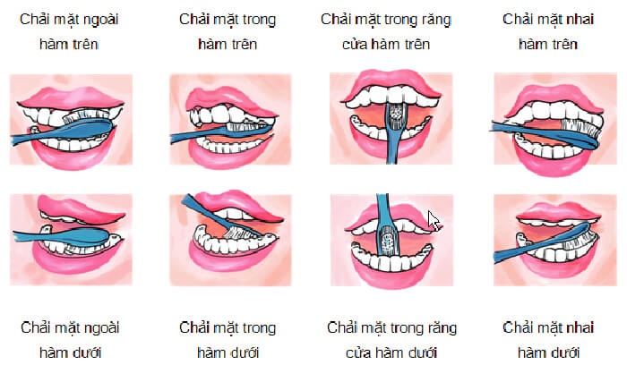 Các bước đánh răng đúng chuẩn theo khoa học