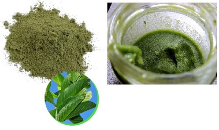 Xay lá ổi thành bột mịn cũng là một cách trị sâu răng được nhiều người lựa chọn