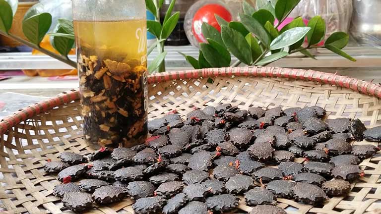 Rượu hạt gấc chữa trị ê buốt răng