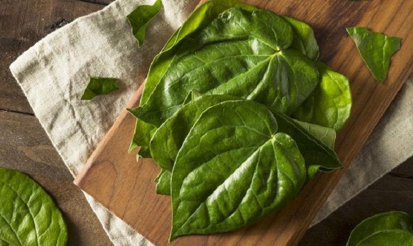 Sử dụng tỏi để trị viêm nướu răng tại nhà Sử dụng tỏi để trị viêm nướu răng tại nhà