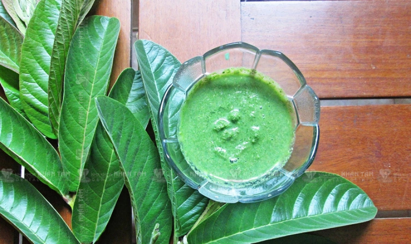 Dùng lá và đọt ổi giã hoặc xay nhuyễn và đắp lên vùng răng bị đau