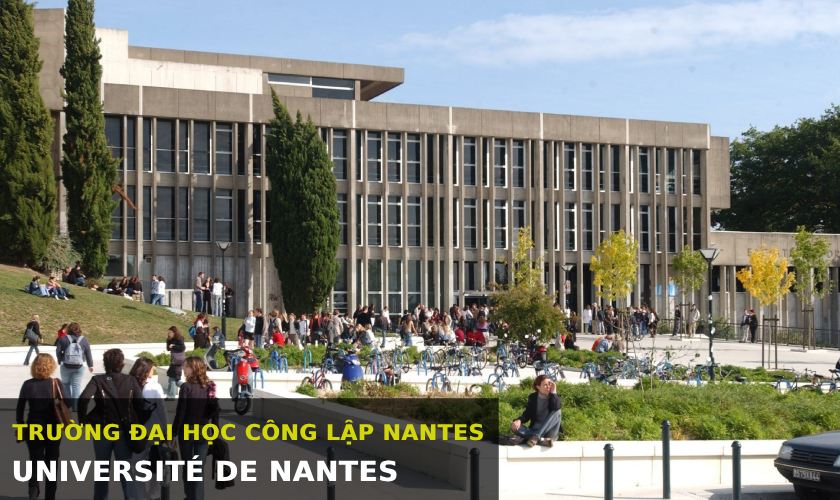 Đại học Nantes - Trường đại học công lập hàng đầu tại Pháp Đại học Nantes - Trường đại học công lập hàng đầu tại Pháp