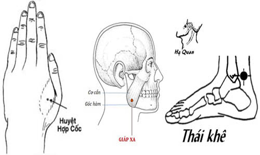 Huyệt Giảm Đau Răng: Cách Bấm Huyệt Hiệu Quả Giảm Đau Nhanh Chóng