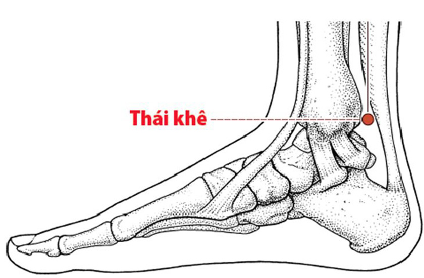 Vị trí huyệt thái khê