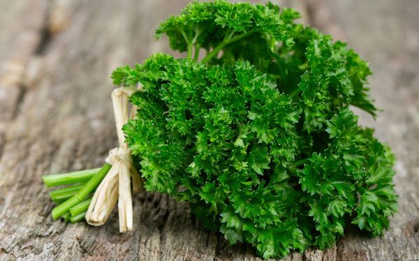 Cải thiện hôi miệng bằng rau mùi tây