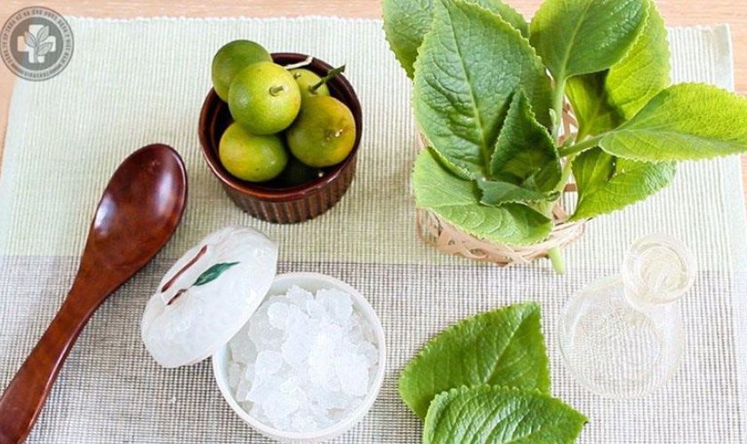 Lá húng chanh có đặc tính khử mùi, tạo mùi thơm cho miệng