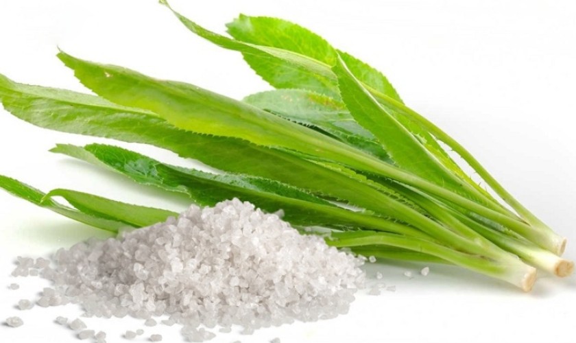 Muối kết hợp với ngò gai tạo ra hỗn hợp trị hôi miệng tuyệt vời