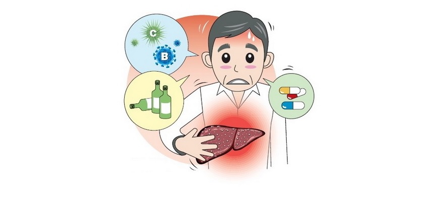 Bị đắng miệng có thể là lời “thông báo” về dấu hiệu suy giảm chức năng gan