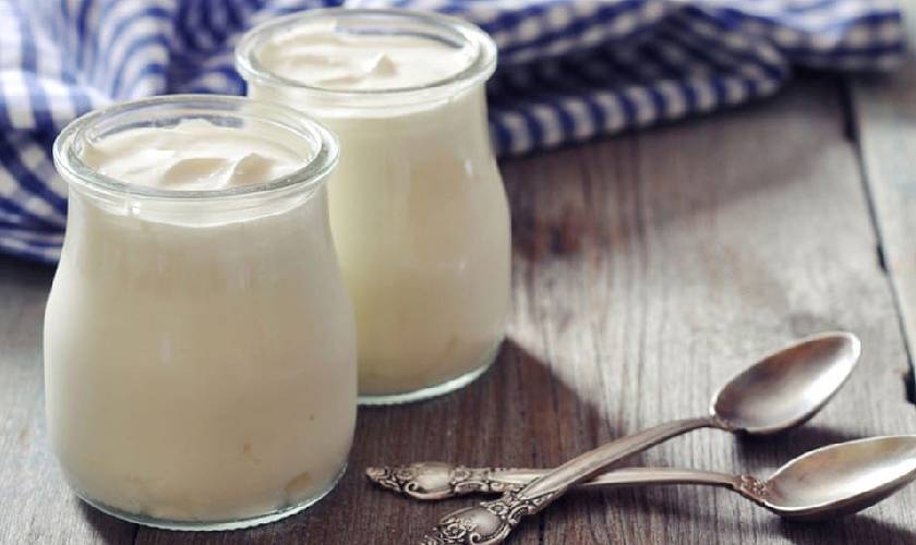 Sữa chua có khả năng làm dịu đau rát do lở miệng gây ra