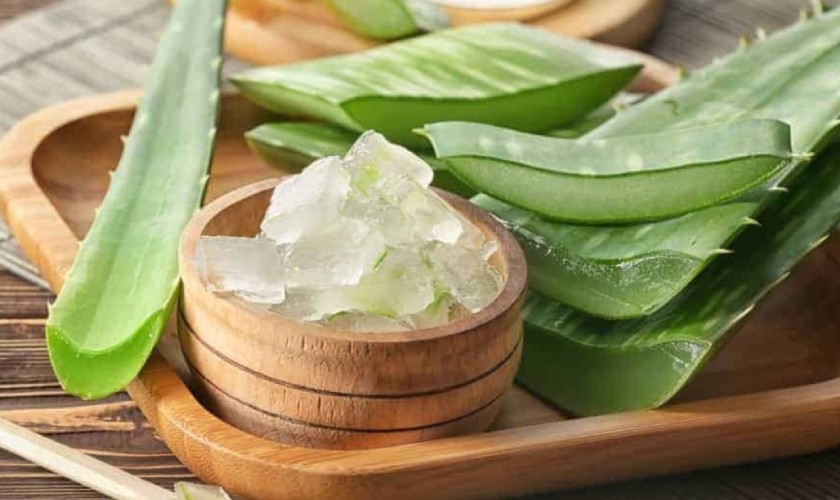 Nha đam là nguyên liệu giảm ê buốt răng được nhiều người ưa chuộng