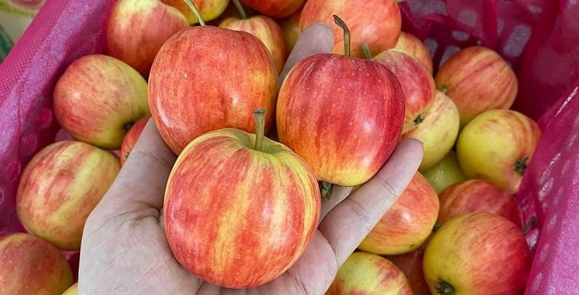 Táo có chứa axit nhẹ gây đau răng