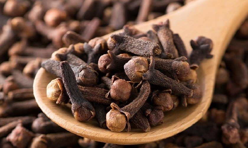 Đinh hương có khả năng trị đẹn lưỡi