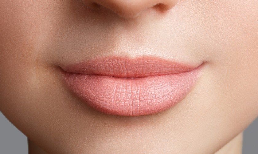 Môi mềm, có thể chuyển động được và mở ra để nhận thức ăn