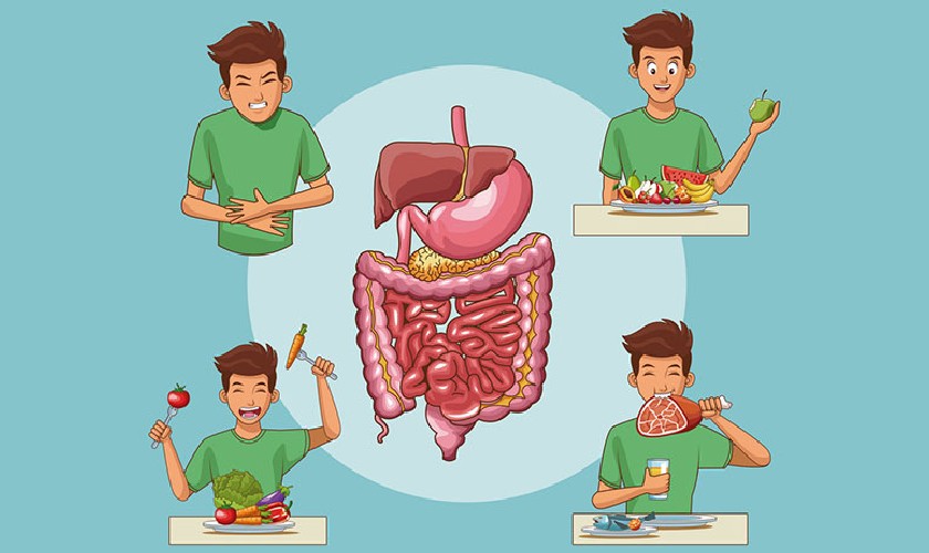 Khoang miệng có liên quan mật thiết đến hệ tiêu hóa