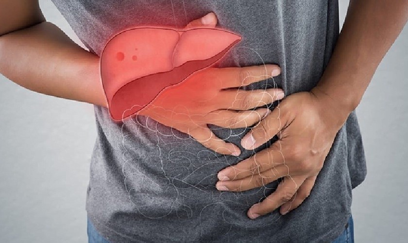 Chức năng gan bị suy giảm khiến người bệnh có cảm giác khó tiêu và đắng miệng