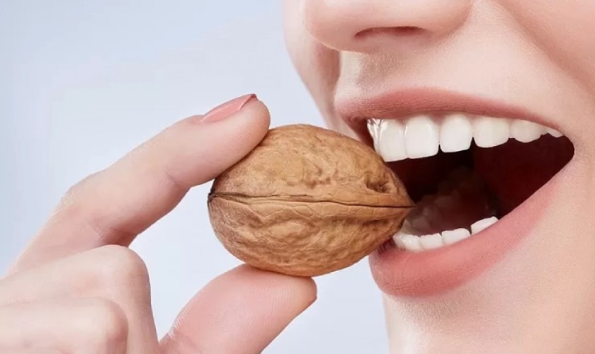 Không cắn nhai vật cứng