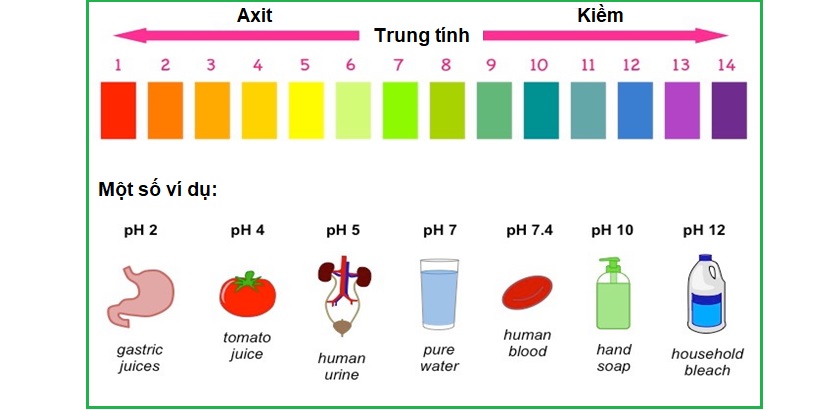 Cần hạn chế ăn những loại thực phẩm có tính axit