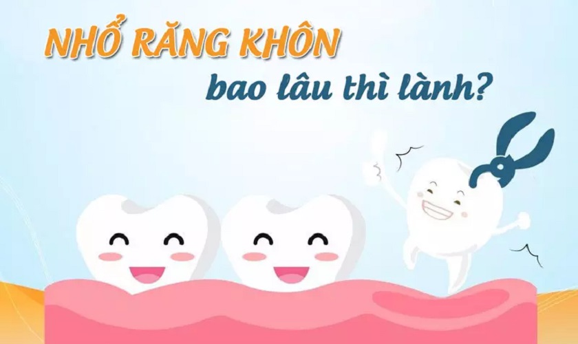 Nhổ răng khôn bao lâu thì lành? Hướng dẫn chăm sóc sau nhổ