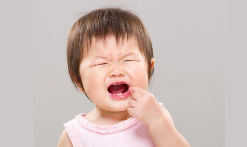 Hình ảnh bé sắp mọc răng hàm giúp ba mẹ dễ nhận biết