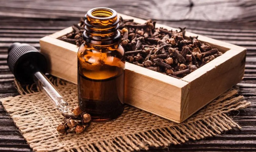 Tinh dầu đinh hương giúp làm dịu cơn đau nhức răng nhanh chóng