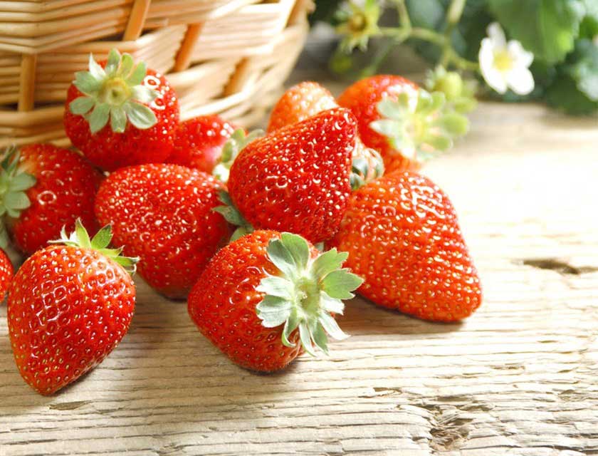 Ăn nhiều dâu tây sẽ giúp răng sáng đẹp