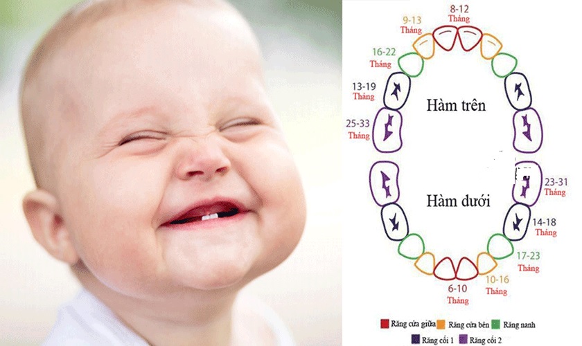 Các giai đoạn mọc răng và thay răng vĩnh viễn ở trẻ