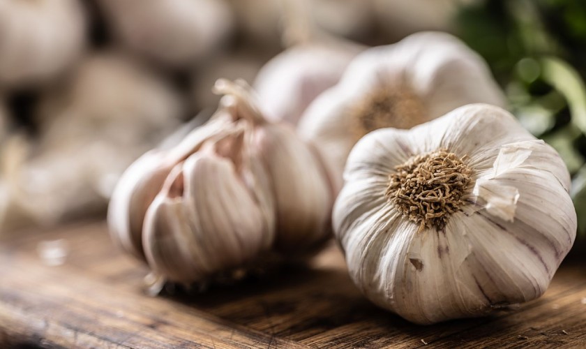 Tỏi giúp diệt khuẩn rất hiệu quả