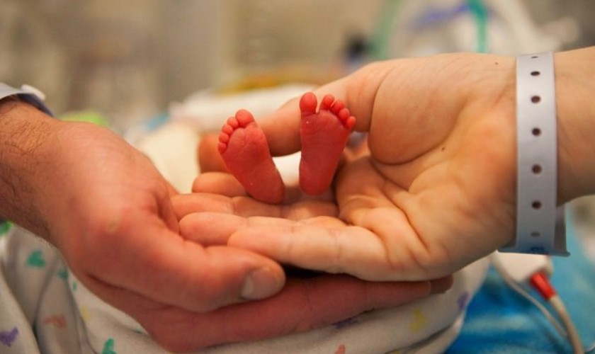 Trẻ sinh non có thể mọc răng chậm hơn so với trẻ sinh đủ tháng Trẻ sinh non có thể mọc răng chậm hơn so với trẻ sinh đủ tháng