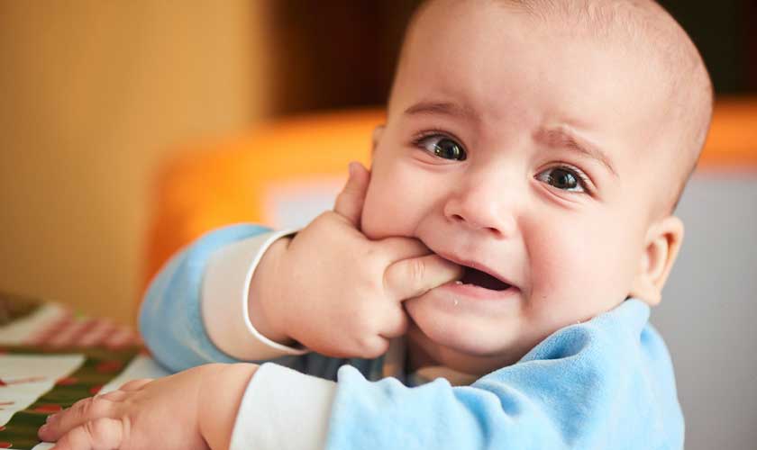 Trẻ em mọc răng biếng ăn và hay quấy khóc, thích cho tay và đồ vật vào miệng