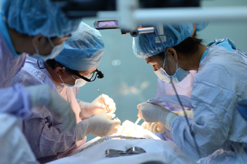 Dịch vụ cấy ghép Implant - Nha khoa Nhân Tâm